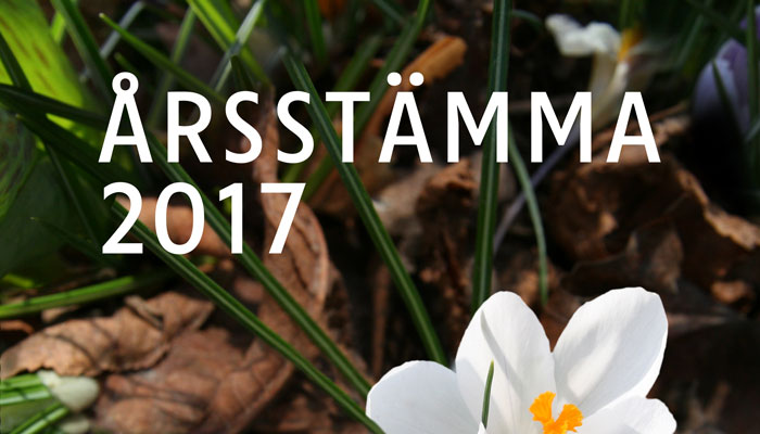 Föreningsstämma 18 mars 2017